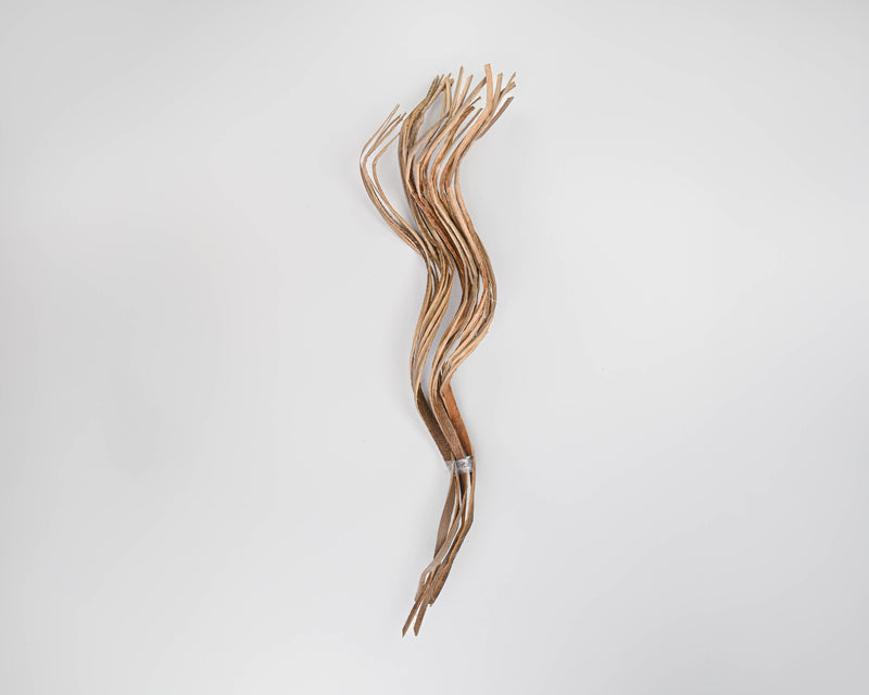 Dried Coco Fingers