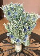 Bulk dried Wild and Free Echinops oats bouquet, light green stems with blue thistle flowers, natural wholesale bunches.