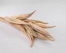 Dried natural okra pods bundle in bulk with textured beige pod surfaces.
