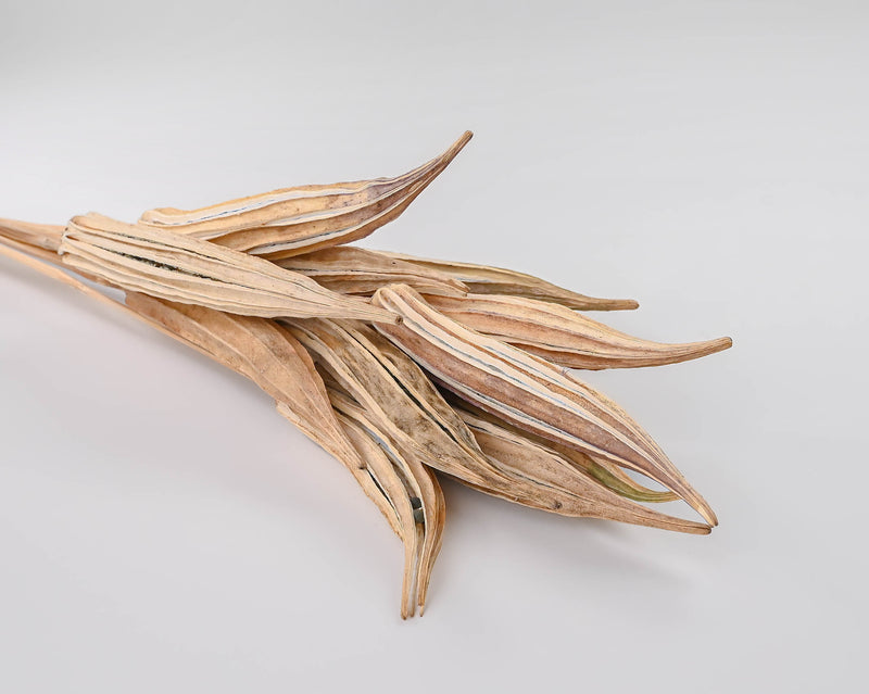 Okra Pods Stemmed - Natural