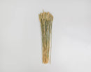 Bulk natural dried rye stalk bundles in light green to blond shades, wholesale case of 20 long bunches.