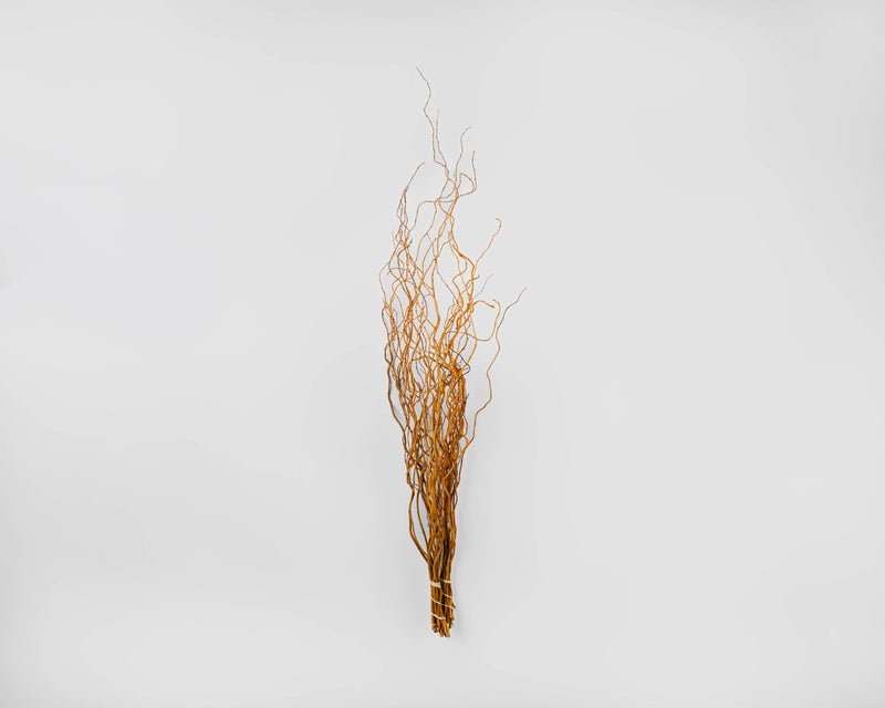 Curly Willow Branches for Arrangements (Long Stem) | 12 Bunches | Light Brown