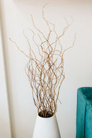 Light brown dried curly willow branches in bulk, arranged in a white vase against a neutral background.