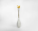 Dried natural Craspedia Billy Balls bunch with yellow spherical flower heads in white vase.