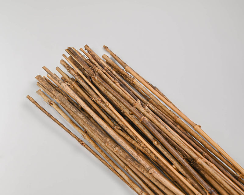 Dried Honey Bamboo Stack - 4ft Natural