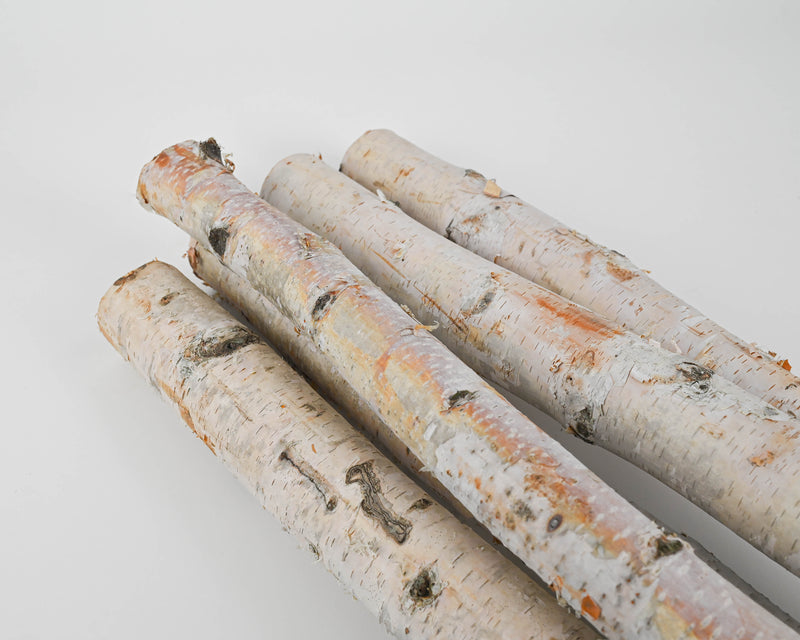 White Birch Poles For Sale - Decorative | Natural White Birch
