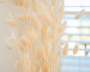 Bulk bleached blond dried bunny tails grass bunches with natural texture in soft light.