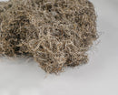 Bulk dried natural Spanish moss in neutral beige tones with fine, curly texture.