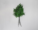 Bundle of dried natural green leatherleaf stems for wholesale bulk arrangements.