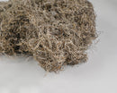 Close-up of natural dried Spanish moss in bulk, showcasing fine, tangled strands.