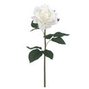 Single 20.5" white rose spray with natural dried petals and green leaves, wholesale bulk pack.