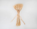 Bundle of dried natural blond wheat tied with rustic twine, wholesale bulk decorative decor.