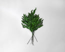 Bundle of dried natural green leatherleaf branches with stems, wholesale bulk pack of 12 bunches.
