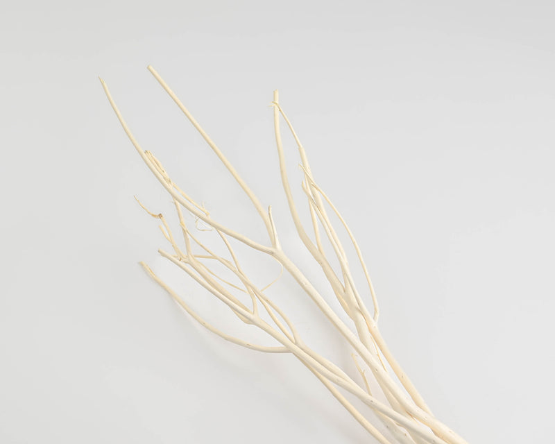Mitsumata Branches Decorative Branches