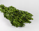 A bunch of dyed green decorative dried boxwood stems against a white background.