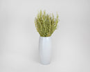 Natural dried Lepidium bunch with small green seed pods in white ceramic vase, wholesale bulk case of 20.