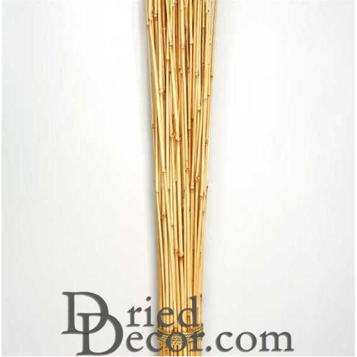 Dried Honey Bamboo Stack | 50 Pieces | Natural