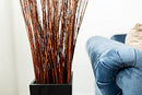 Dried natural Asian willow branches bundled in black square vase beside blue sofa, wholesale bulk pack.