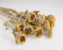 Bundle of dried natural sunflowers with yellow petals and light green stems in wholesale bulk quantity.