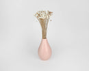 Natural dried button flowers in a bulk bunch with thin stems in a matte pink vase.