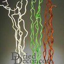 Bulk dried natural corkscrew willow branches in bleached white, vibrant green, and rich mahogany brown colors.