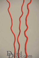 Bulk dried natural corkscrew willow branches in bright red color, wholesale decorative bunches.