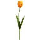 25" dried natural parrot tulip spray with orange and yellow petals and green leaves, wholesale bulk pack.