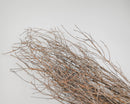 Bundle of dried natural huckleberry branches in light brown, shown in wholesale bulk quantity.