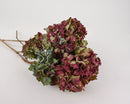 Burgundy dried hydrangea bunches with natural green accents, wholesale bulk stems.