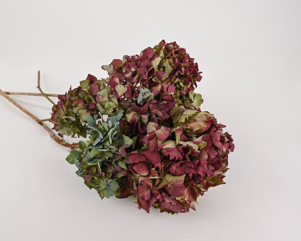 Dried Hydrangea Flower Bunch - Burgundy Color
