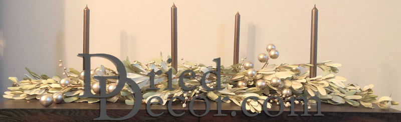 Natural Dried Integrifolia | 20 Bunches | Light Green