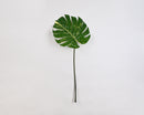 Dried natural philodendron spray with two-tone green leaf and slender stem, wholesale bulk bundle.