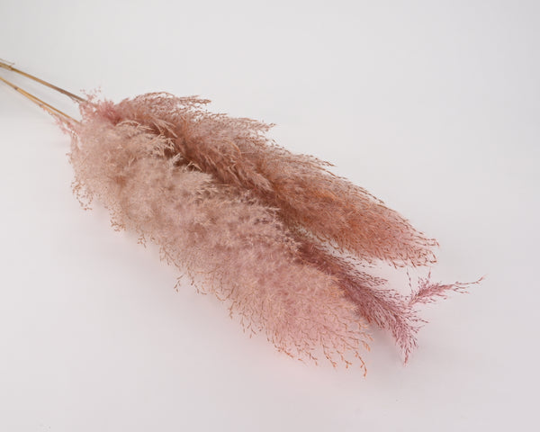 Dried Pampas Grass Pink Color Single Bunch   Long Stem