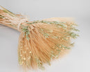 Bundle of dried natural mixed grain wheat with long stems, arranged for wholesale bulk sale.