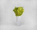 Bulk dried natural chartreuse oak leaves arranged in a white vase for wholesale use.