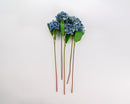 Set of 12 two-tone blue dried hydrangea stems with natural green leaves, ideal for wholesale bulk arrangements.
