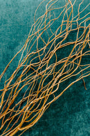 Light brown dried curly willow branches bundled in bulk on teal background.