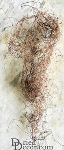 Natural dried angel vine twigs in bulk 5 lb case for wholesale dried floral supplies.