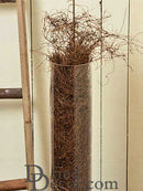 A clear plastic tube filled with natural brown Angel Vine, placed against a wooden backdrop.