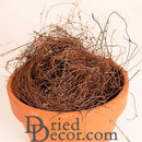 Bulk natural dried Angel Vine twigs in a terracotta pot for wholesale floral supplies.
