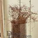 Bulk natural dried angel vine stems in a clear glass vase against rustic wood background.