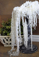 A bunch of bleached white hanging amaranthus preserved, displayed in a home decor setting.