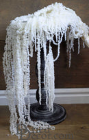 Bleached dried Amaranthus bunches cascading over dark pedestal, natural bulk wholesale display.