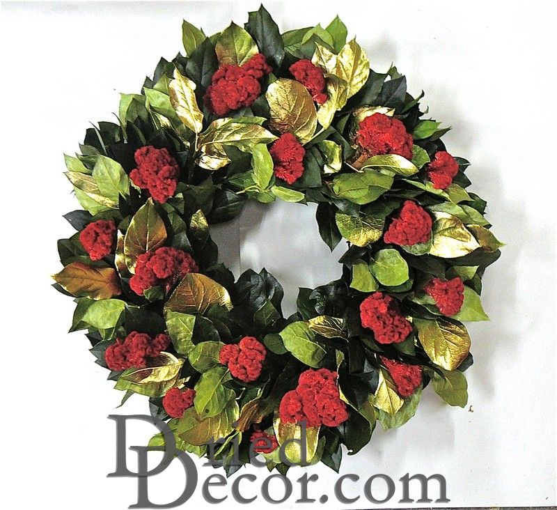 Dried Gold Holiday Celosia Flower Wreath