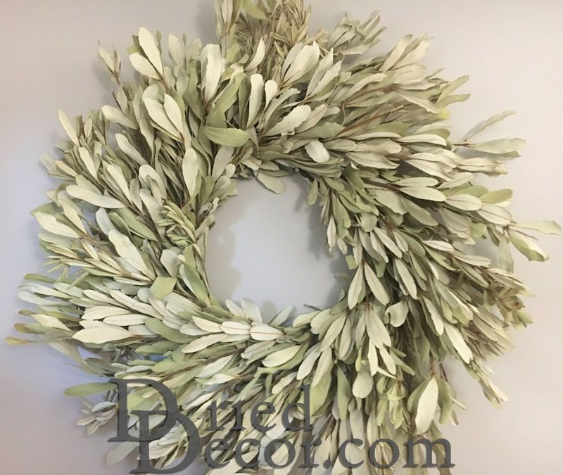 Natural Integrifolia Wreath - 17 or 24 inches