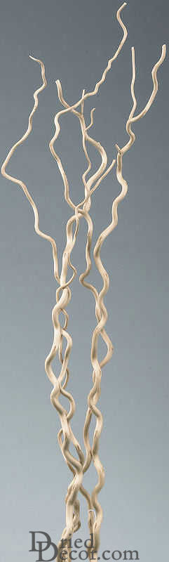 Decorative Kuwa Branches