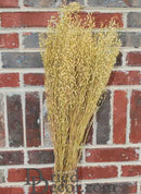 Natural yellow dried linium bunch with delicate stems and flowers against brick background, wholesale bulk pack.