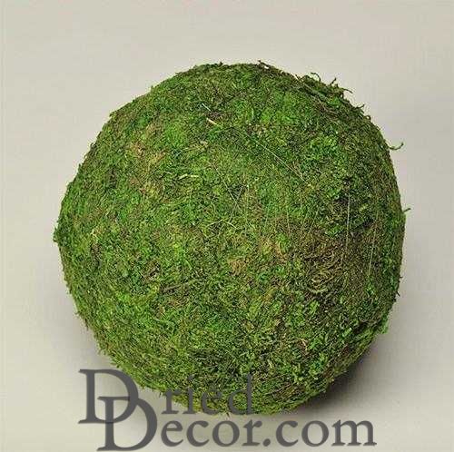 Dried Moss Balls | 2,6,8" Diameter