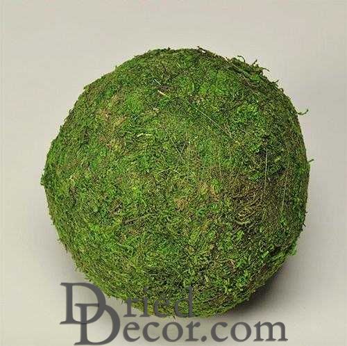 Dried Moss Balls - Preserved - 2,6,8 inch diameter