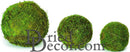 Set of three dried moss balls in natural green shades, varying 2 to 6 inches, wholesale bulk decor.